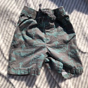 Whale shorts
